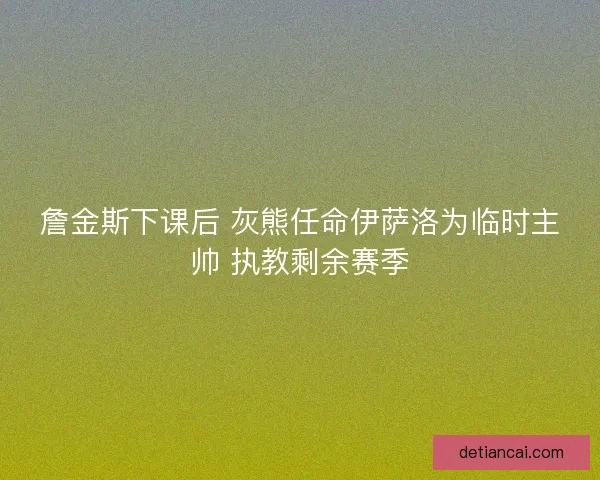 詹金斯下课后 灰熊任命伊萨洛为临时主帅 执教剩余赛季