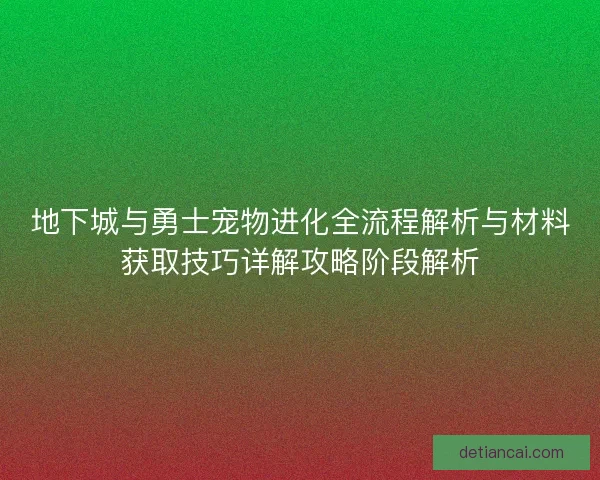 地下城与勇士宠物进化全流程解析与材料获取技巧详解攻略阶段解析