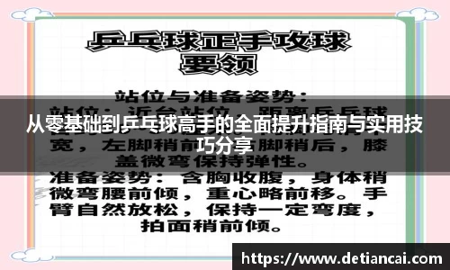 从零基础到乒乓球高手的全面提升指南与实用技巧分享