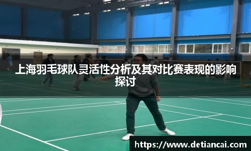 上海羽毛球队灵活性分析及其对比赛表现的影响探讨